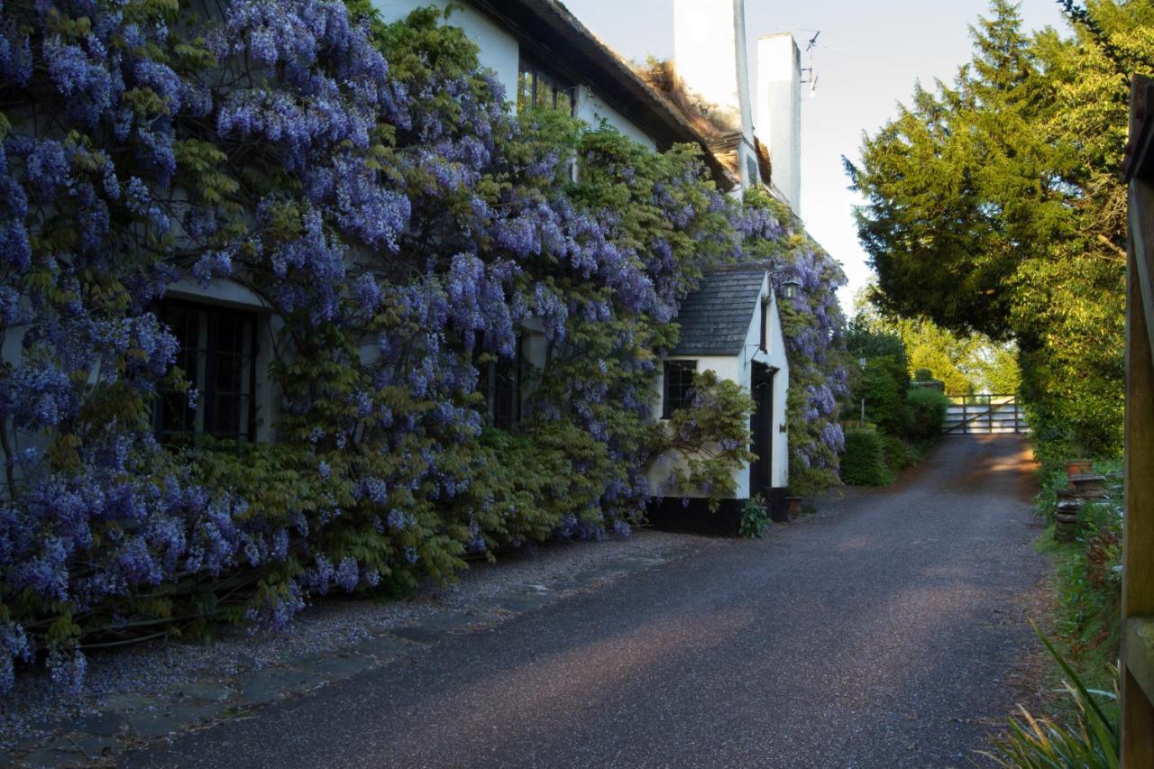 Duddings Country Cottages Minehead Exteriér fotografie
